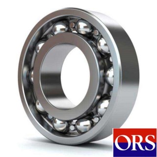 6301 ORS