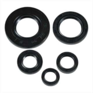YAMAHA YBR 125 KEÇE TAKIMI OEM.
