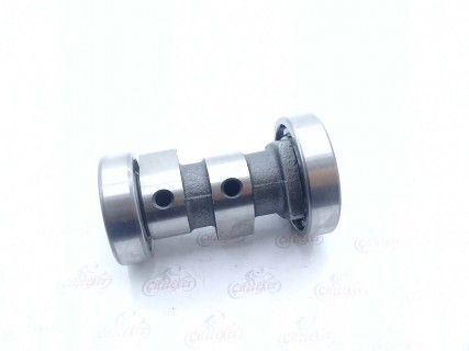 CYGNUS EKSANTRİK MİLİ OEM.
