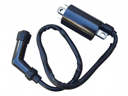 Mondial Drift L 125 İndiksiyon Bobini Oem