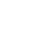 BİSAN LİFAN